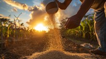 Farmer Pouring Grains Into A Sack, In The Background A Sunset Generative Ai