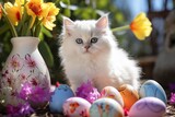 Fototapeta Zwierzęta - persian white kitten with spring flowers and easter eggs, hauskätzchen