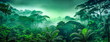 An aerial panorama view of tropical rainforest. Panoramic landscape of green jungle, Tropical rain forest jungle