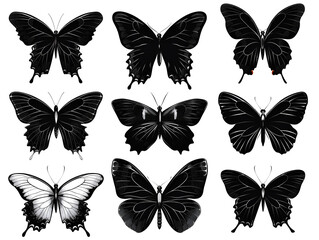 Wall Mural - set of butterflies silhouettes on white 