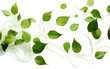 Leaves in Motion on Transparent Background.