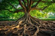 A large tree stands tall with its intricate roots exposed in the ground, showcasing its strength and resilience, An ancient tree with large, twisted roots, AI Generated