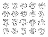 Fototapeta Pokój dzieciecy - Set of rose flower design elements