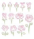 Fototapeta Pokój dzieciecy - Set of rose flower design elements, elegant minimalistic style. Rosebuds in different stages of opening.