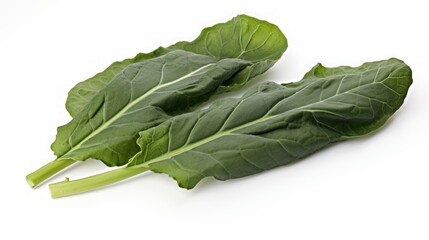 Poster - Three fresh, green collard greens captured in a close-up realistic photo against a white background Generative AI