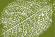 Abstrakter Vektor Struktur Hintergrund - Grünes Blatt mit Tropfen - Umwelt
