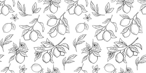 Wall Mural - Hand drawn monochrome seamless pattern with etching lemon or lime, tree branch in engraved style. Vector black and white repeat backdrop