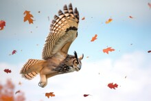 Midflight Owl With Autumn Leaves Falling Around It, Facing The Viewer