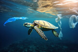 Fototapeta  - Endangered Ocean turtle suffering from human impact.