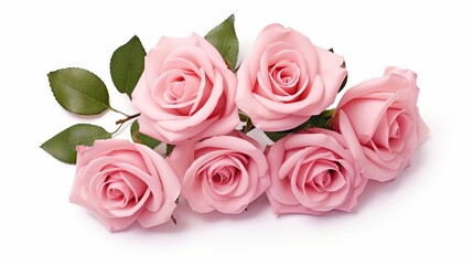 Canvas Print - Pink rose flowers arrangement isolated on white