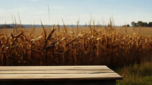 Empty Wooden Table In Fornt Of Corn Field With Blurred Background. High Quality Photo