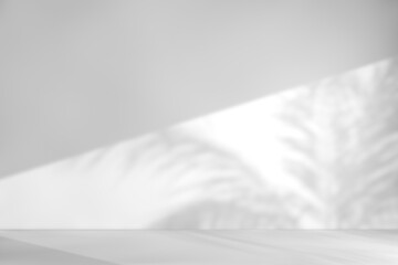 Poster - Shadow of Window and Sunlight on Empty Room White Wall and Floor. 3d Rendering