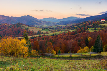 Wall Mural - rural landscape of carpathian mountains. beautiful countryside scenery of ukraine in autumn season w