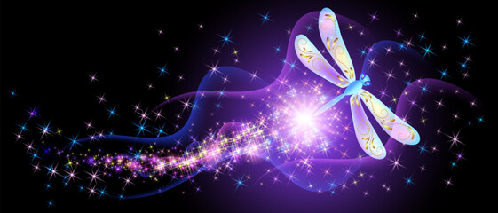 Wall Mural - Flying delightful dragonfly and flowers with sparkle and blazing trail flying in night sky among shiny glowing stars in cosmic space. Love and romance concept.