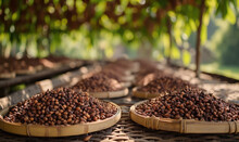 Sun-Kissed Cloves: Witness The Traditional Drying Process Under The Warm Sun, Transforming Cloves Into Fragrant Treasures
