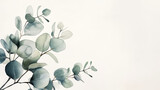 Fototapeta  - Watercolor eucalyptus branches with round leaves. Floral concept. Aesthetic invitation template. Generative AI