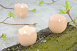 Easter  or spring decoration: candles made of eggshells on a marble countertop. Scandinavian style with branches, green leaves and moss. 