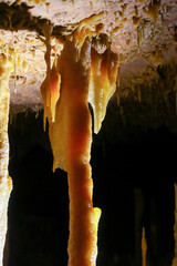 Wall Mural - Stalactites in the Victoria Fossil Cave in the Naracoorte Caves National Park in South Australia