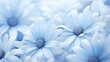 garden dusty blue flowers
