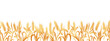 Seamless border of spikelets of wheat, rye, barley with copy space. Background, vector