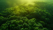 Lush green forest from above, vibrant canopy of trees, symbolizing the vitality of our planet, celebrating World Environment Day, preservation and care