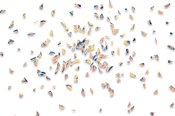 Wall Mural - golden confetti on a blank background.