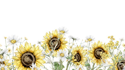 Wall Mural - Seamless frame banner watercolor Daisy and sunflower. Hand drawn illustration on isolated background. Meadow bouquet of white blossom flowers chamomile. Drawing botanical border with paint wildflower.