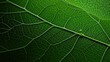 science dna leaf