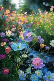 Fototapeta  - beautiful closeup view of colorful flowers in nature garden background