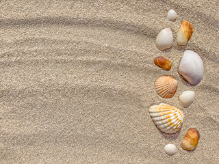 Sand and shells. View from above. Summer background. The backdrop. Sea background, shore, beach. Outdoors. Copy space