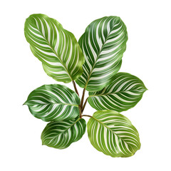 Aufkleber - Tropical leaves plant bush