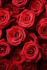Poster - A bunch of red roses on a table, suitable for various occasions