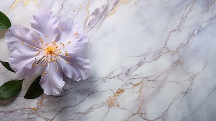 Canvas Print - texture flower marble background