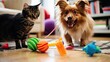 interactive dog and cat toys