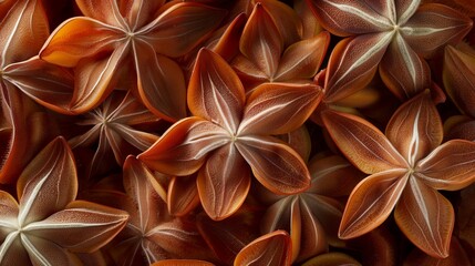 Wall Mural - top view of starfruit seeds, highlighting their unique shape and texture. 8k