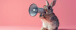 Cool bunny in sunglasses with megaphone on pink background