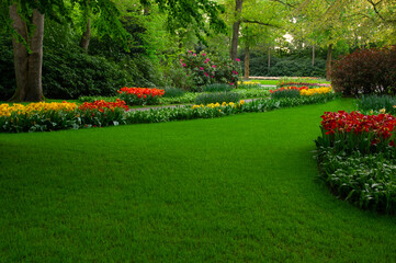 Wall Mural - garden with blooming spring flowers