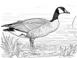 © Sergio Lucci - Detailed sketch of a serene goose by the water's edge, detailed coloring page