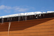 Many melting icicles with fall down drops hangs down close-up on the flat roof with snow against blue spring sky