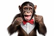 Happy laughing funny monkey portrait. Chimpanzee with hand fingers making grimace, isolated on white background
