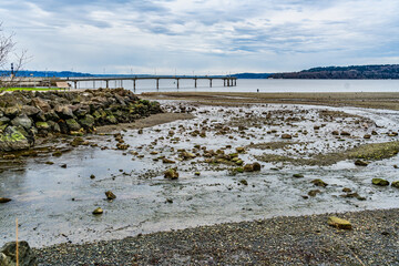 Canvas Print - Overcast Shoreline Creek 4