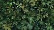 A lush, seamless pattern of tropical vegetation in various shades of green, against a backdrop that fades from deep emerald to almost black. 