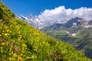 Wall Mural - Mountain range Breithorn of the Pennine Alps as seen from Klein Matterhorn, Switzerland.