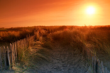 Canvas Print -  Montmartin-sur-Mer sand dunes in Cotentin coast