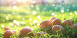 golden ester eggs on grass
