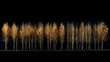 A treeline of tall trees from a rural setting on a dark background. High quality