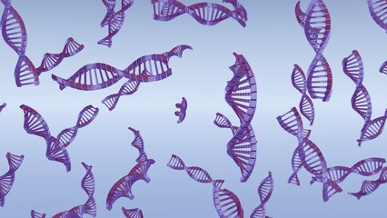 Poster - Concept of the evolution of human DNA in the distant future