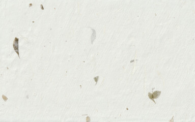 Handmade rice paper texture with small green leaves.