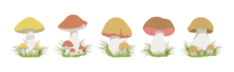 Wall Mural - Forest Mushroom with Stem and Cap Growing in Grass Vector Set