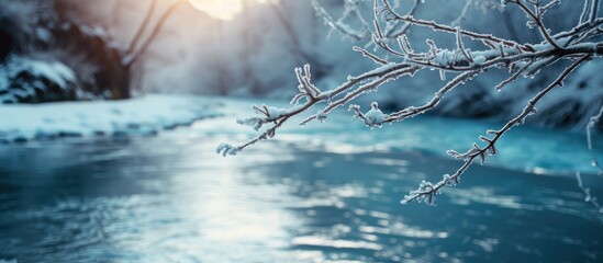 Poster - Icicles on a branch on a background of a mountain river Icicles in winter Icicles frost scene Place for text or advertising. with copy space image. Place for adding text or design